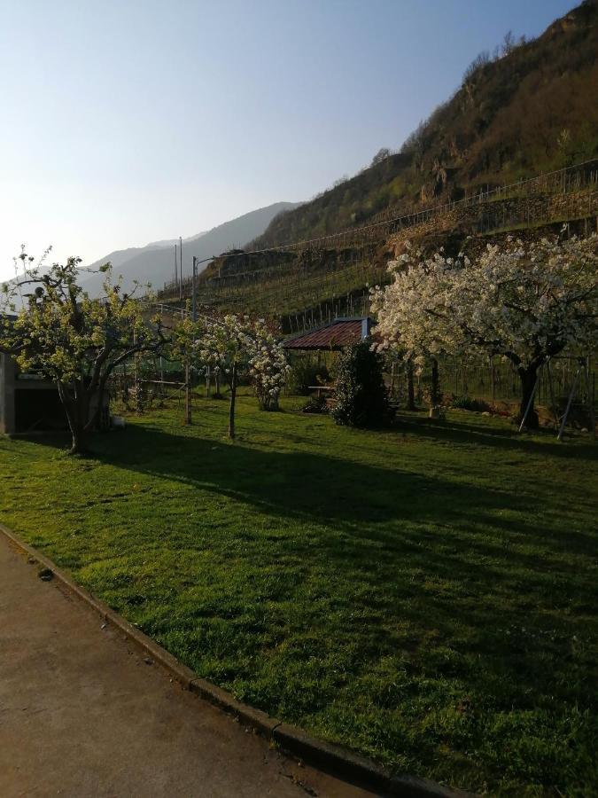 Casa Vacanze La Ca Del Cunfec Sondrio Zewnętrze zdjęcie