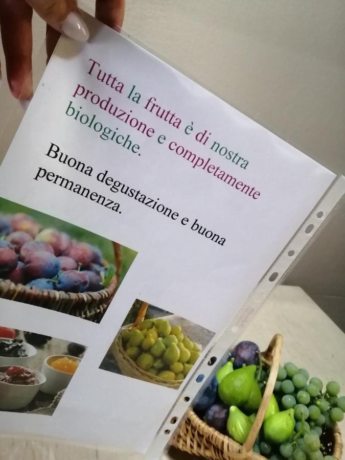 Casa Vacanze La Ca Del Cunfec Sondrio Zewnętrze zdjęcie